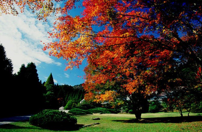 Lushan Botanical Garden, Mount Lu, Jiujiang, Jiangxi, China